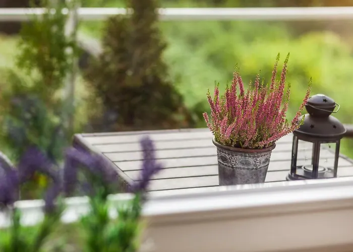 Black&white - Silver House